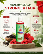 Load image into Gallery viewer, Herbal Hair Shampoo 200ml